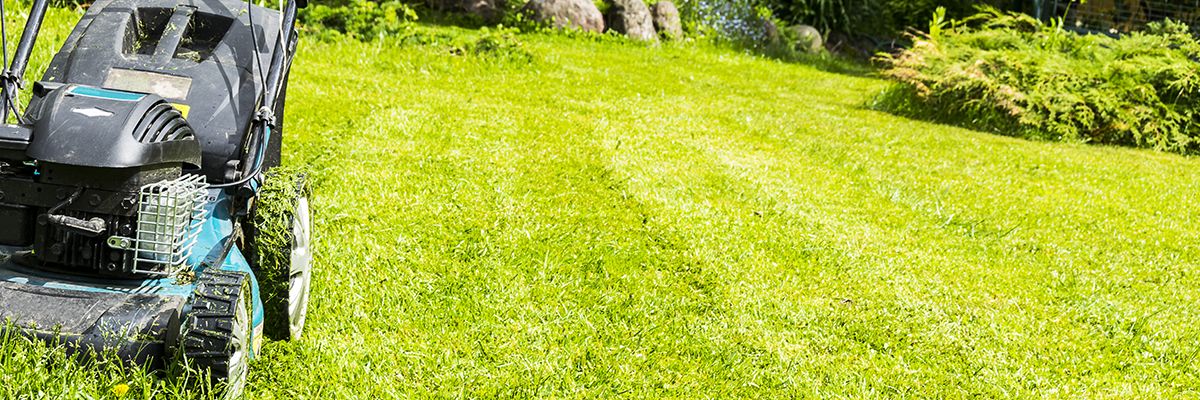 The Importance of Mobile-First Design for Lawn Care Websites-Featured.jpg
