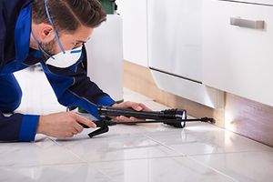 How to Build Forms That Convert for Your Pest Control Website-Thumb.jpg