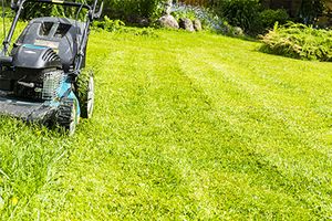 The Importance of Mobile-First Design for Lawn Care Websites-Thumb.jpg