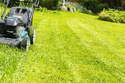 The Importance of Mobile-First Design for Lawn Care Websites-Thumb.jpg