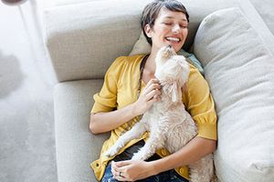 10 Veterinarian Website Ideas and Tips-Thumb.jpg