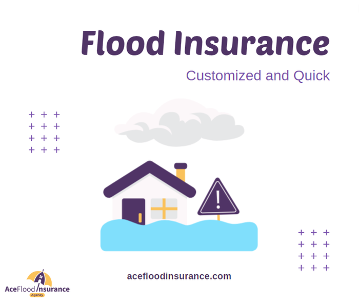 flood insurance 1.png