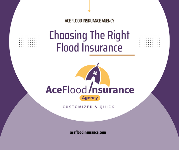 Ace Flood insurance agency (2) (1).png