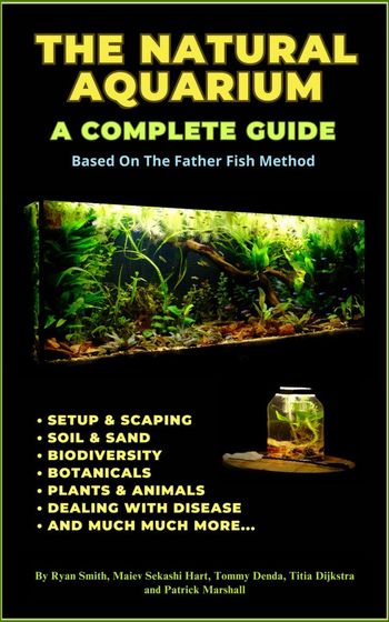 book cover.jpg