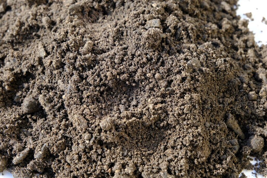 soil.jpg