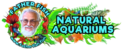 M332958 - Father Fish Aquariums