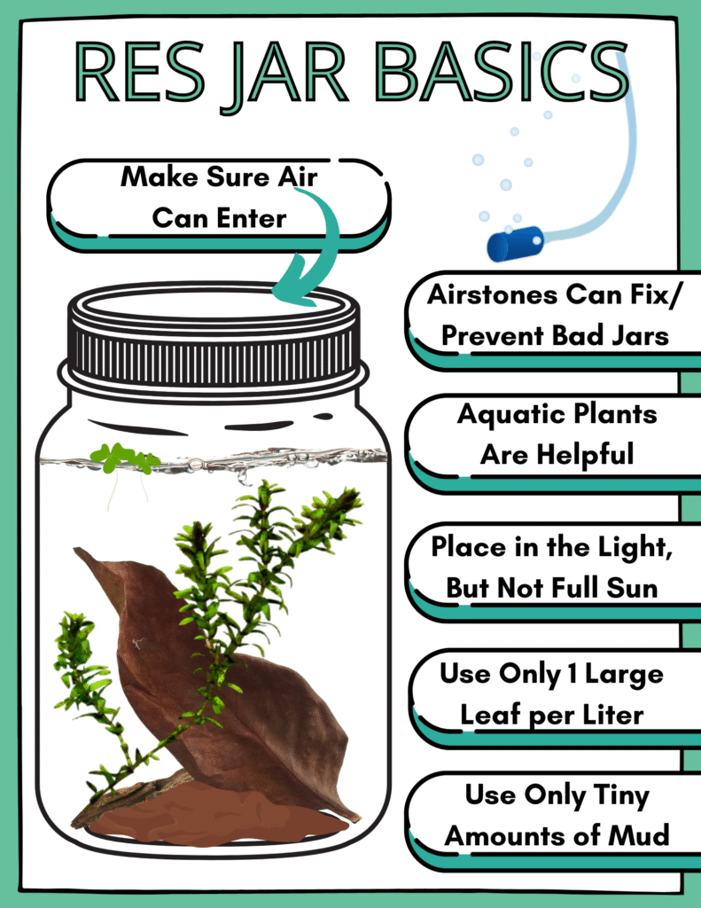 Jar IG.png