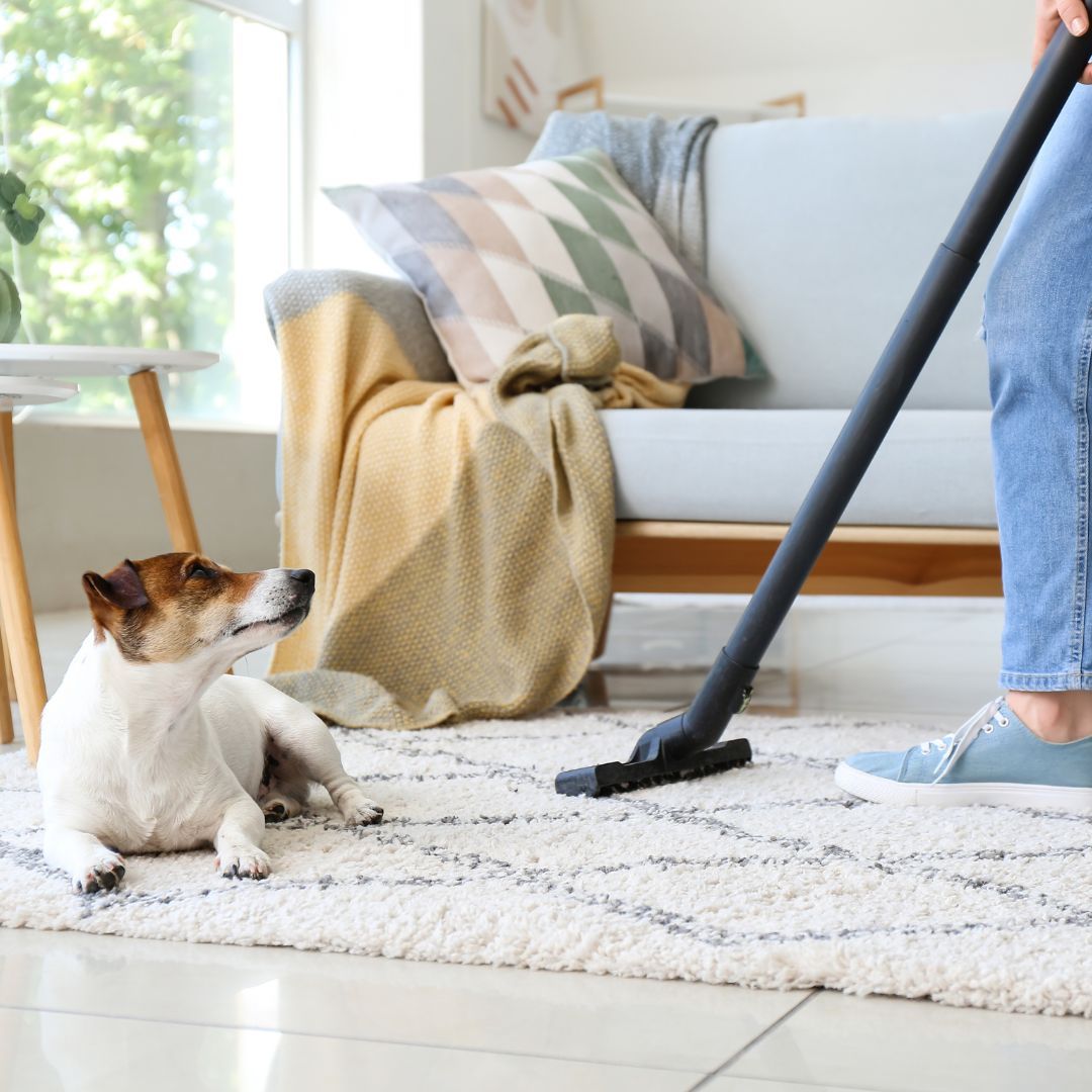 The Value Of Regular Cleaning For Maintaining A Healthy Home Environment - Image 1.jpg