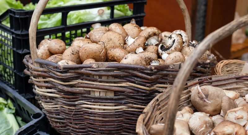 How Local Farmers Shape Our Menu header.jpg