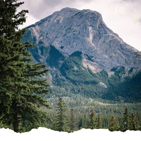 Riesling The Versatile Grape of the Canadian Rockies 4.jpg