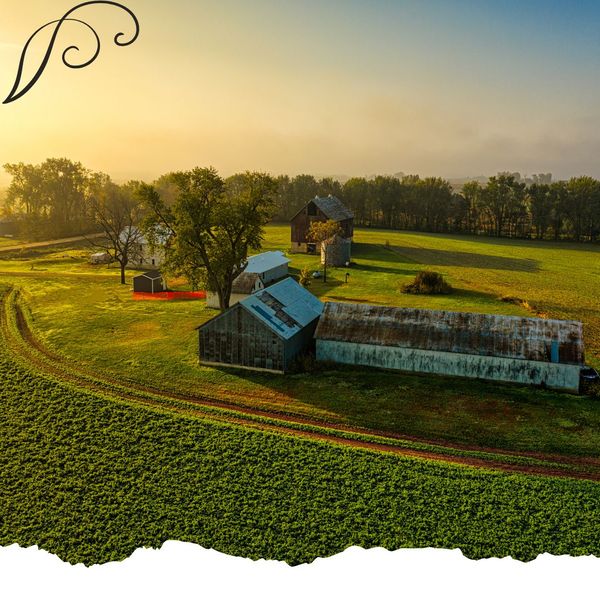 4 Sustainable Dining Tips 1 (1).jpg