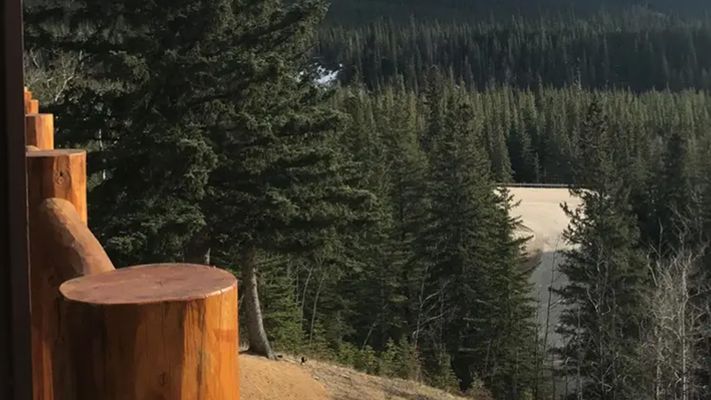 Image of the forest outside of the restaurant