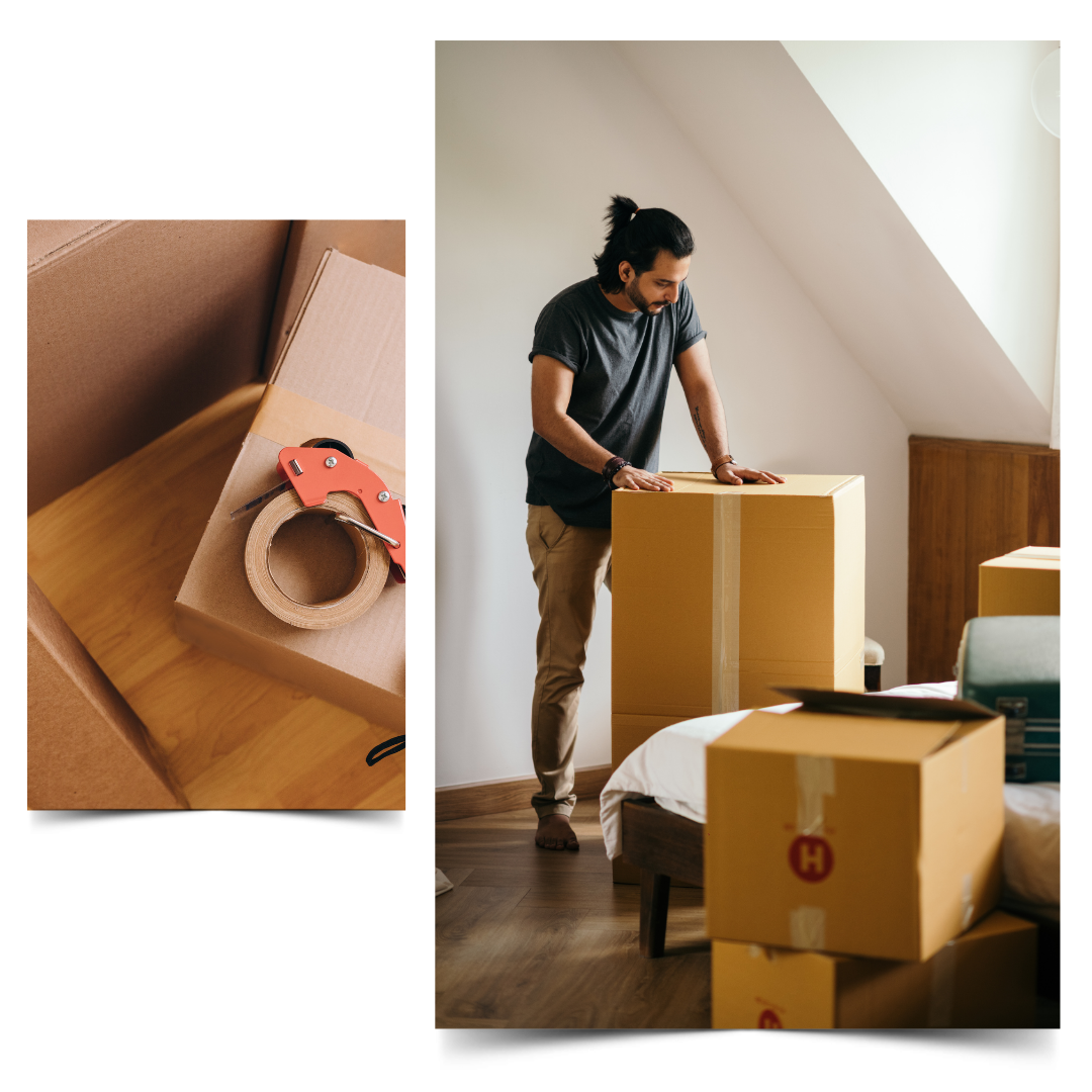 Pack-Out 2 in text image.png