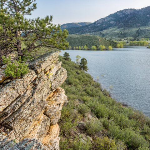 Fort Collins