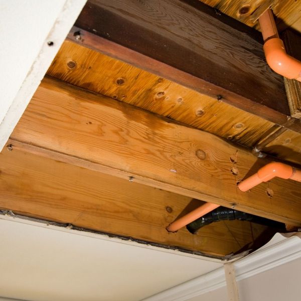 4 Signs That You Need Water Damage Restoration Services 1.jpg