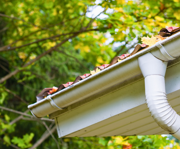 Residential Gutter Services - 5050 2.png