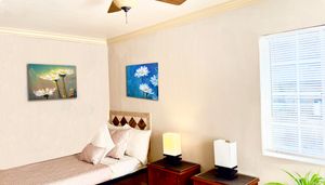 AdobeStock_12258757872 copy.jpg