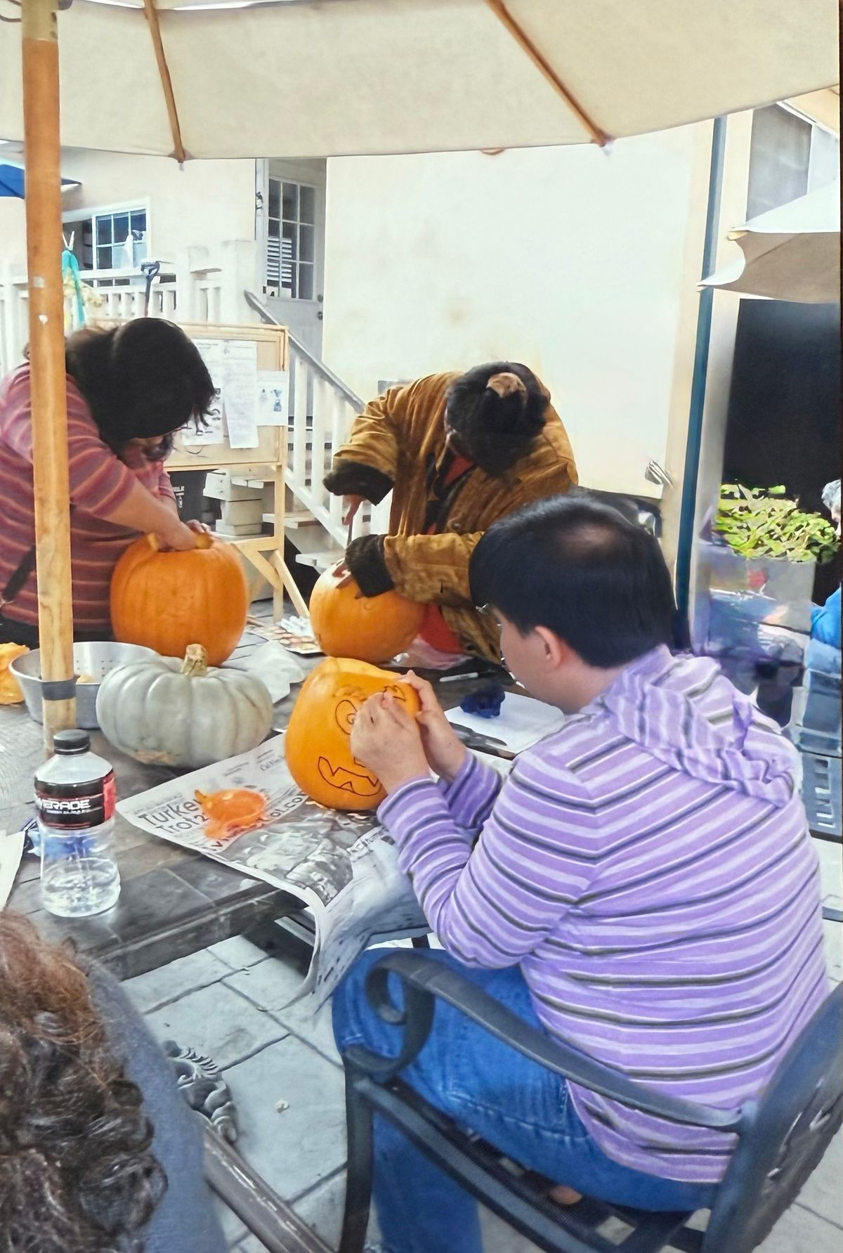 activietes old copy.jpg