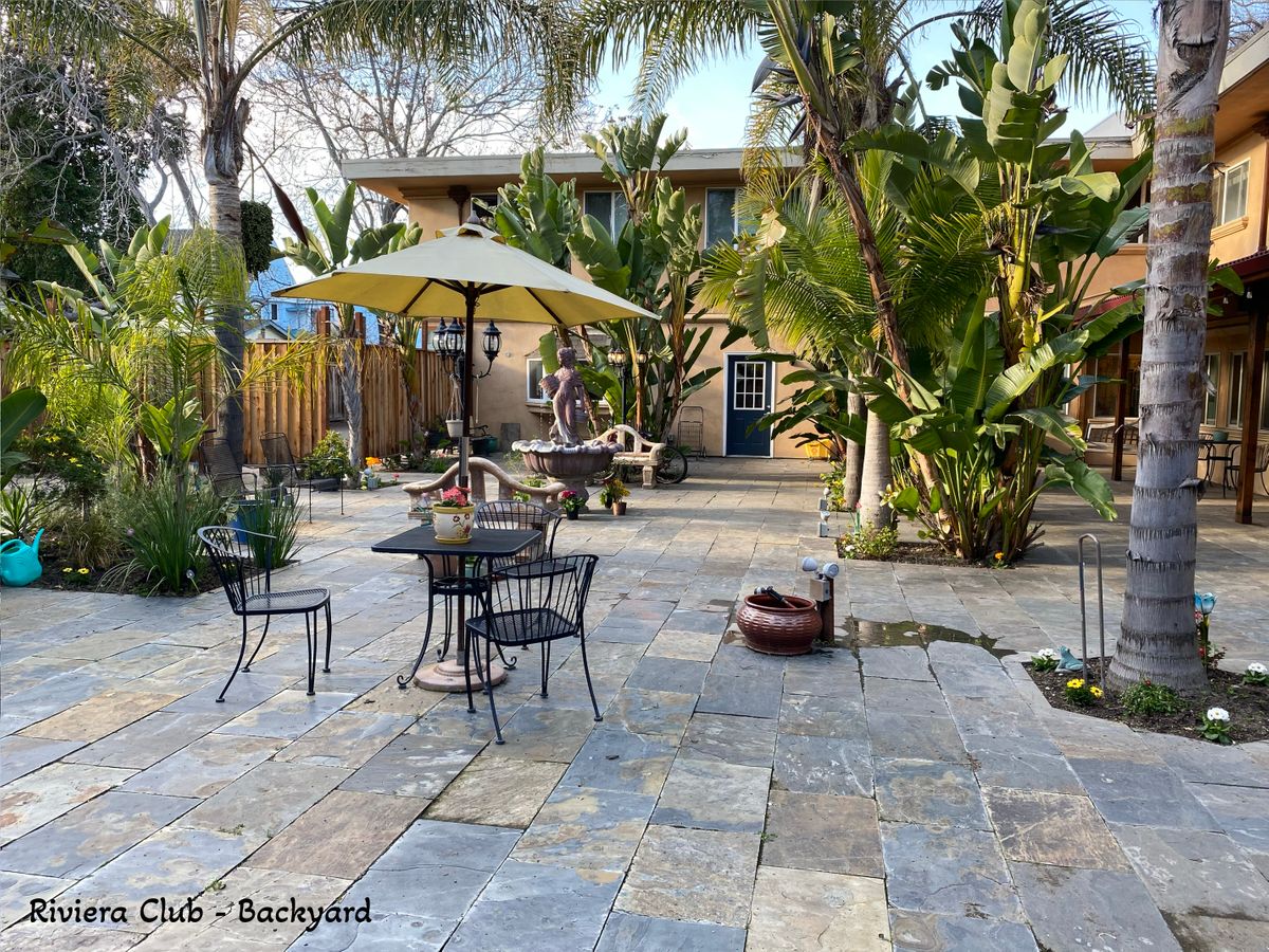 backyard.jpg