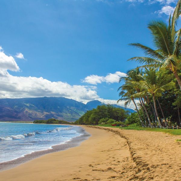 beach in Hawaii beach in Hawaii