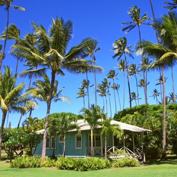 The Role of Floor Trusses in Modern Architectural Design-1.jpg