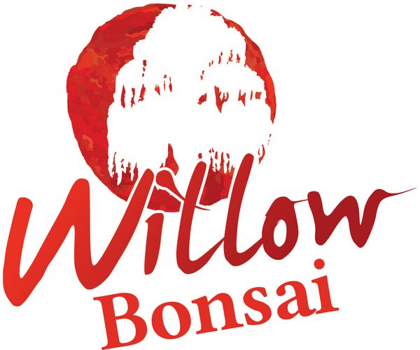 Willow Logo.jpg