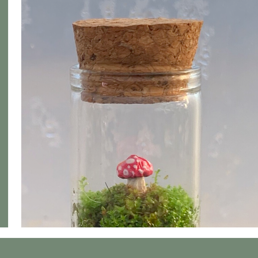 1-terrarium.png