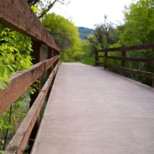 A bridge on a trail