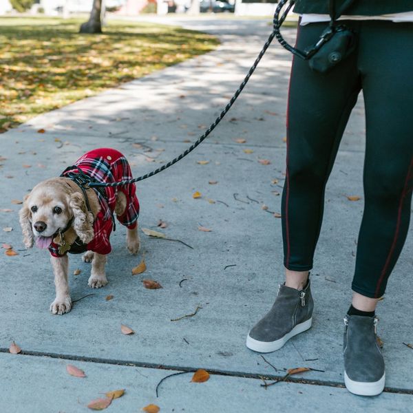 person walking a dog