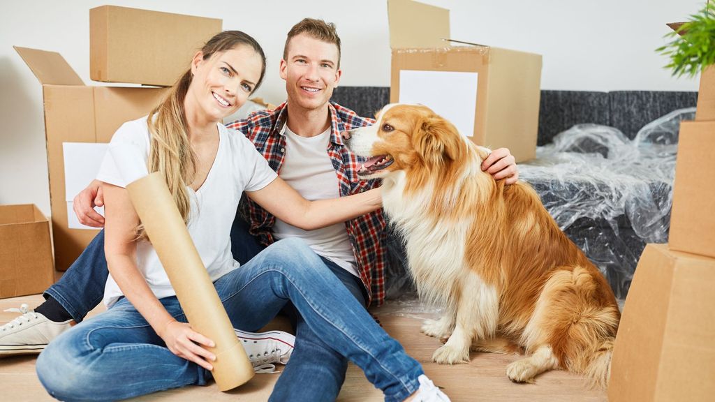 people packing boxes with dog to move
