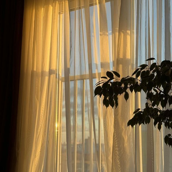 sheer curtains
