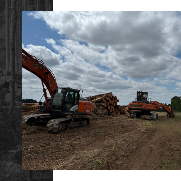 logging operation 