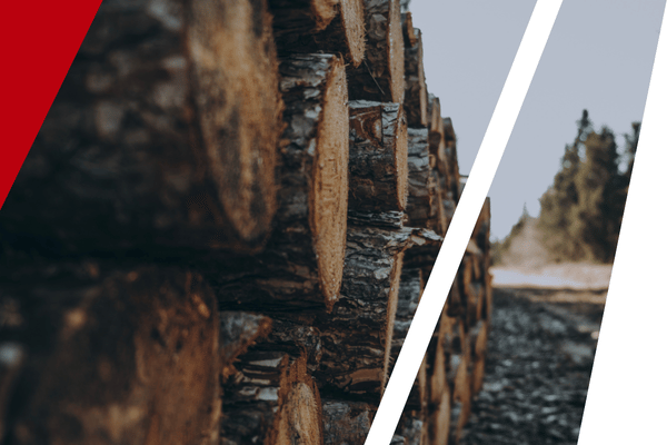 logs stacked logs stacked