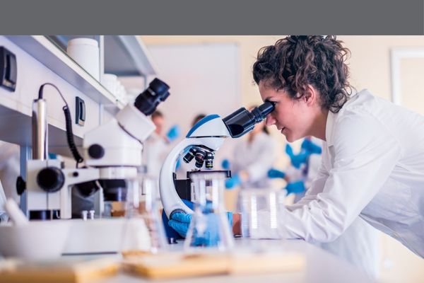 scientist doing research