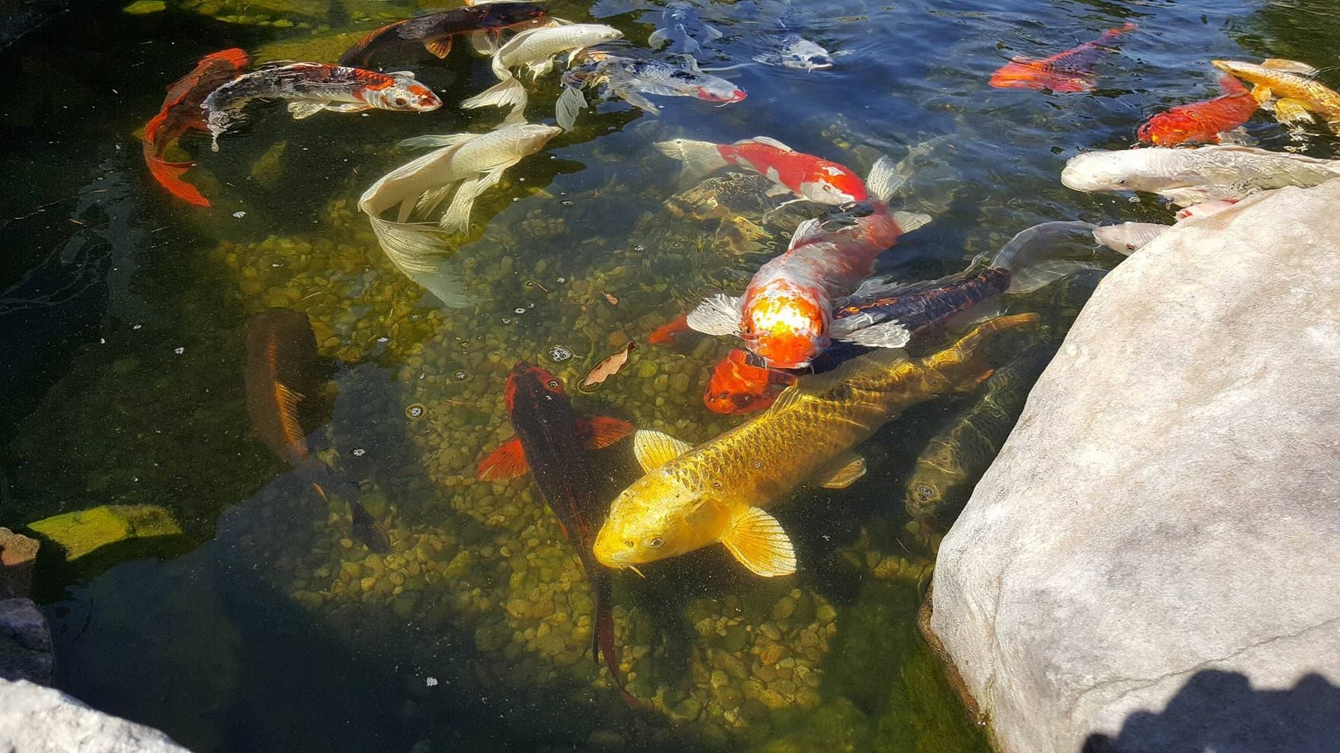 a3651133f9bd80a53852e4d1cc6bf2e5 (1).jpg