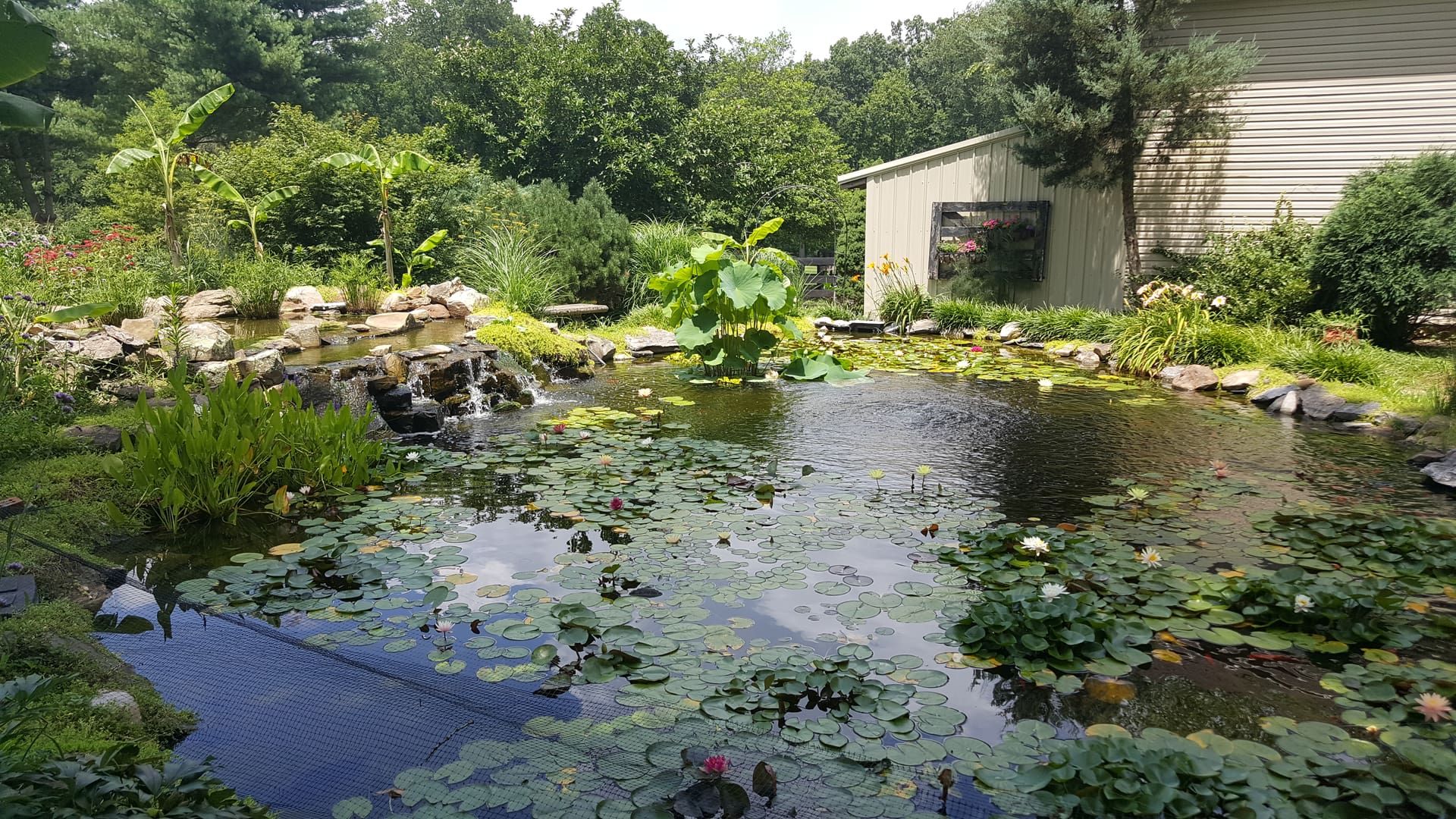 566dee1f9628a98e396f01f46659b4d4 (1).jpg