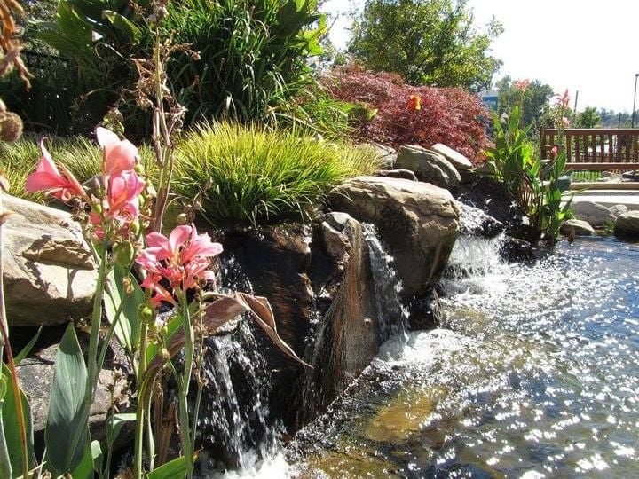 a0729629e89999052ef8c420574b358d (1).jpg