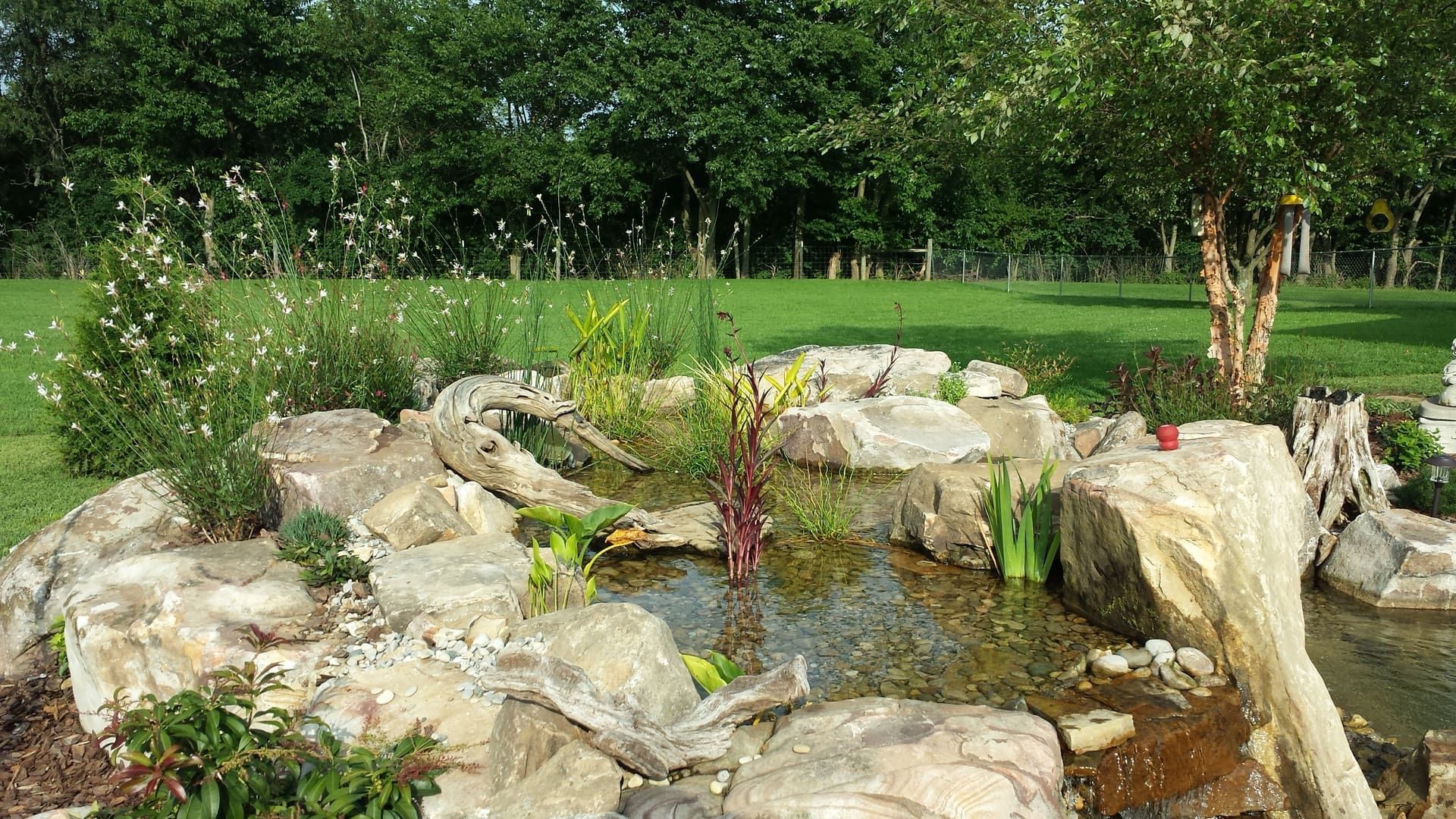 33d8a36a40f3610fbb8bc34f8cfd622d (1).jpg