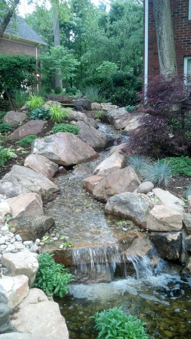 8f0e19b1884c462d283f82173792fa9f (1).jpg