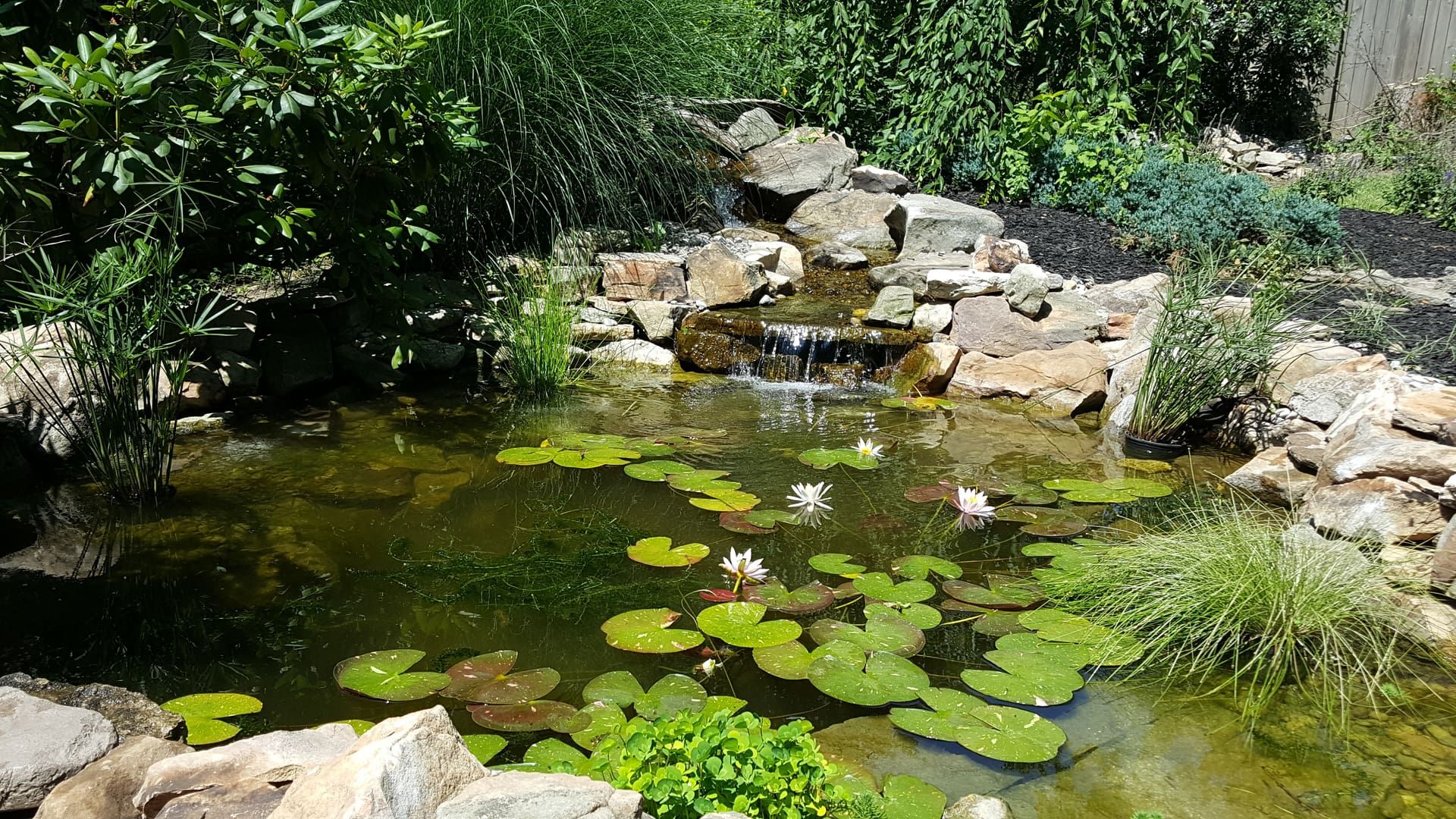 a7c17b4263efbf8b230072cd430bf367 (1).jpg