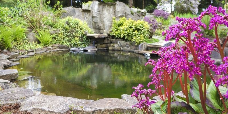 Custom Pond Installation
