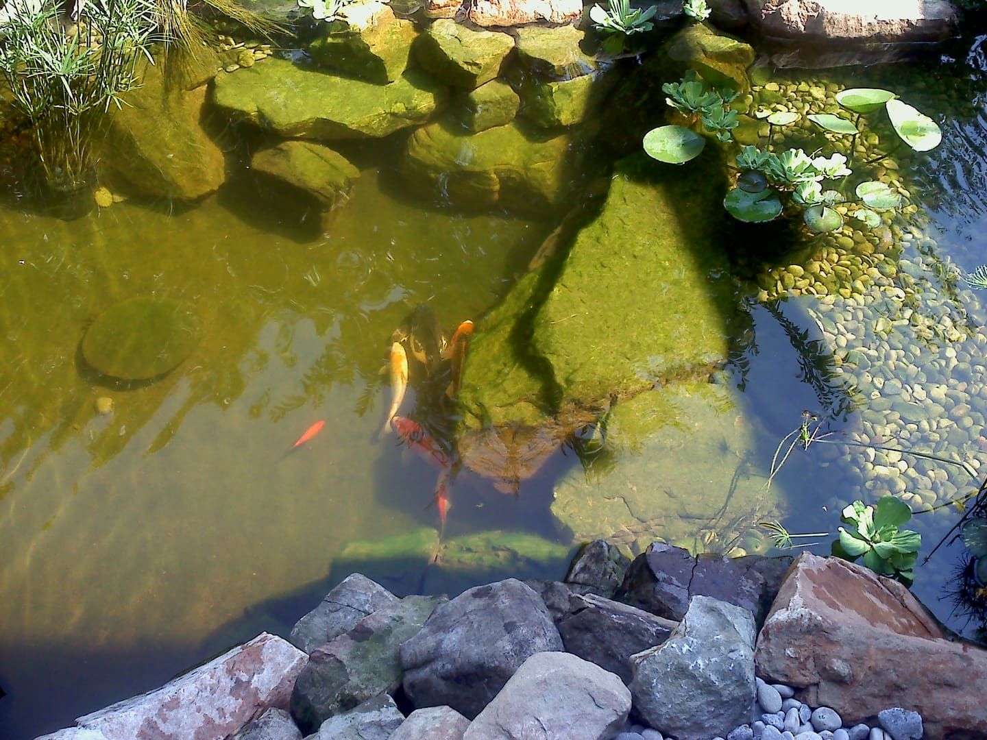 a47f3f8623269294fa86f2e3e5eee228 (1).jpg