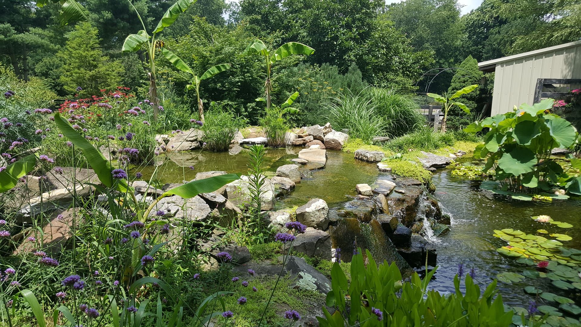 f16aa41cf507ca76d8d73be52c735146 (1).jpg