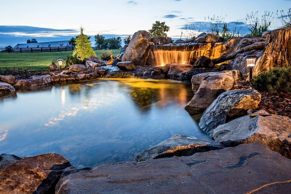 89ff32e899028891bb53a59f7001ef82 (1).jpg