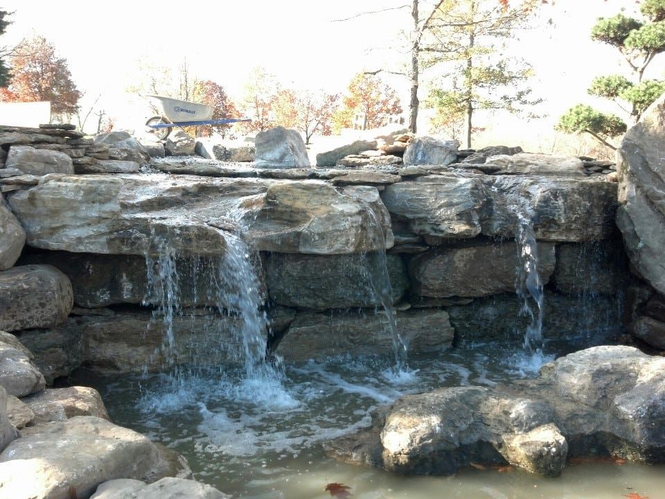 c2b033edca92aa0c7cb82676145ff941 (1).jpg