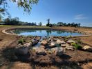 pond-scaled (1).jpg