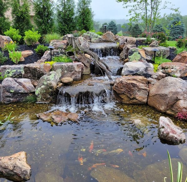 Pond Installation