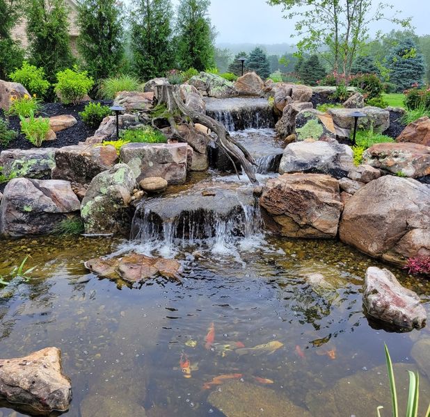 Pond Installation