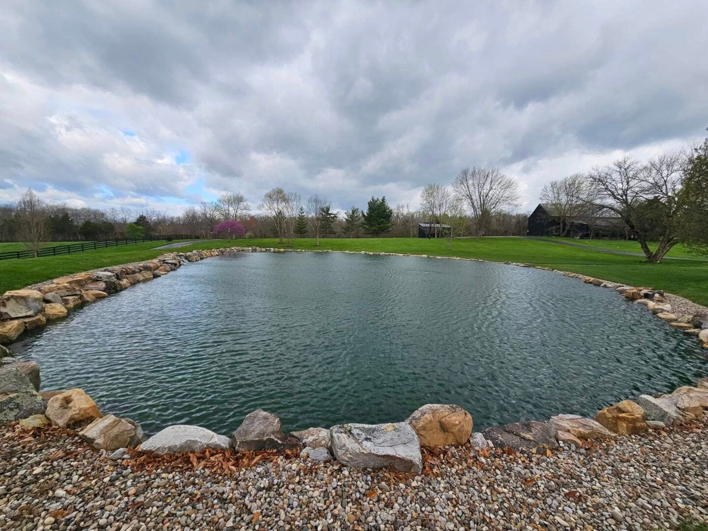 tracy1-scaled (1).jpg