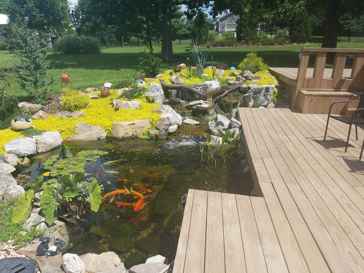 7ef04c14a6ccd62e4b31b8547c99fefb (1).jpg